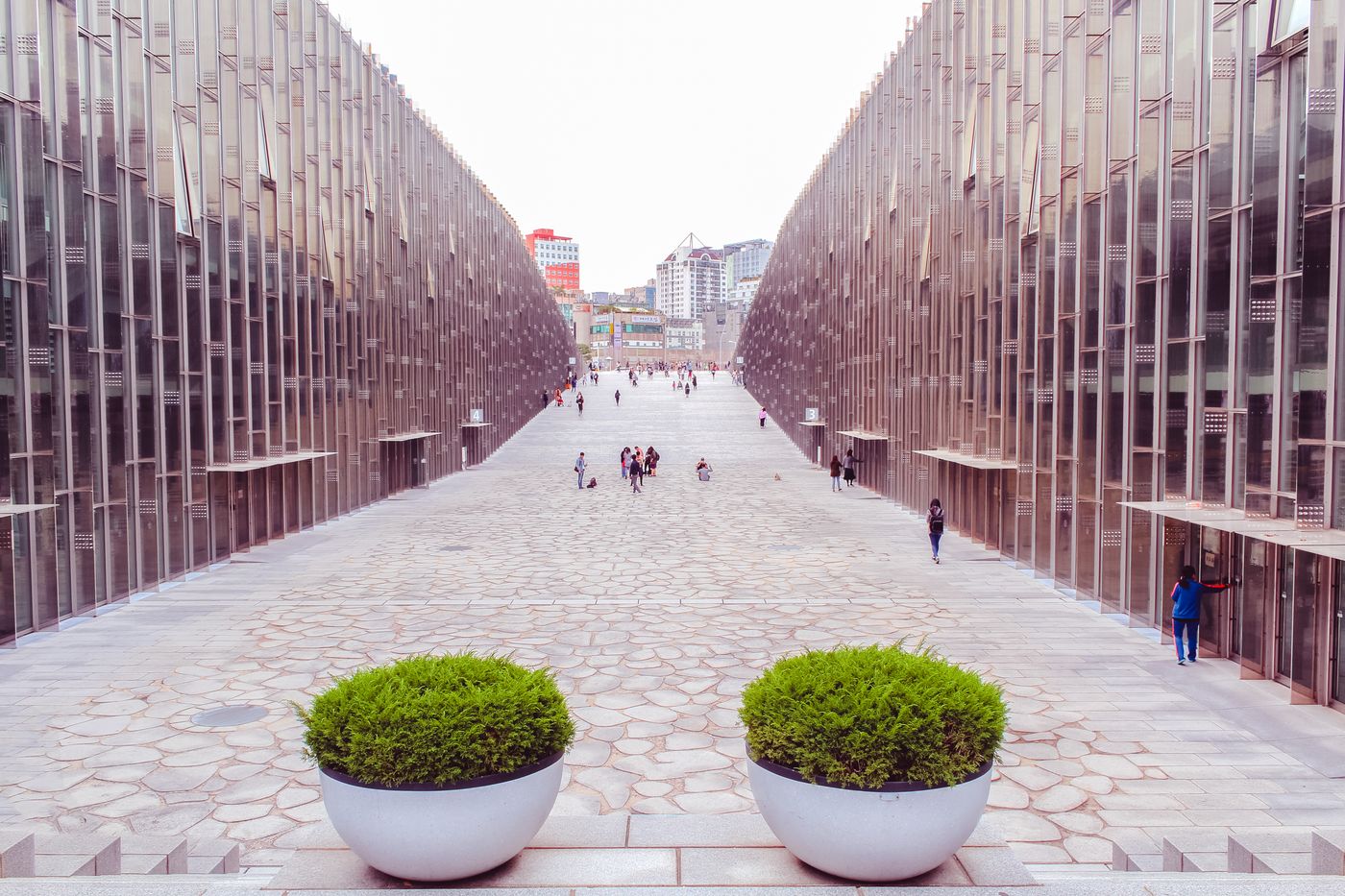 Students walking through a university campus in Seoul, South Korea